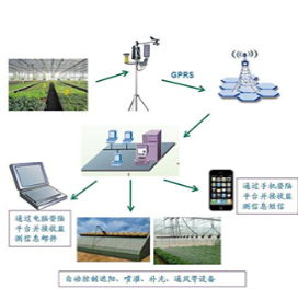 遠程大棚監(jiān)控